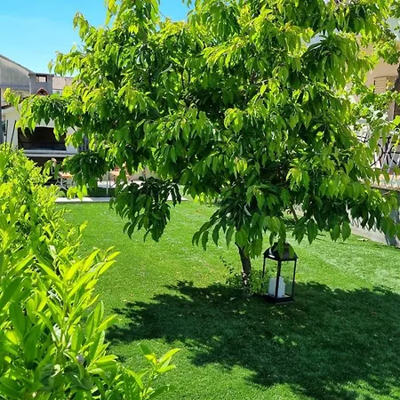 Luxa 5 Min Old Town, 10 Min Airport Appartement Trogir